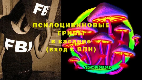 первитин Богородицк