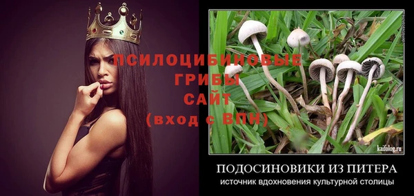 марки nbome Белокуриха